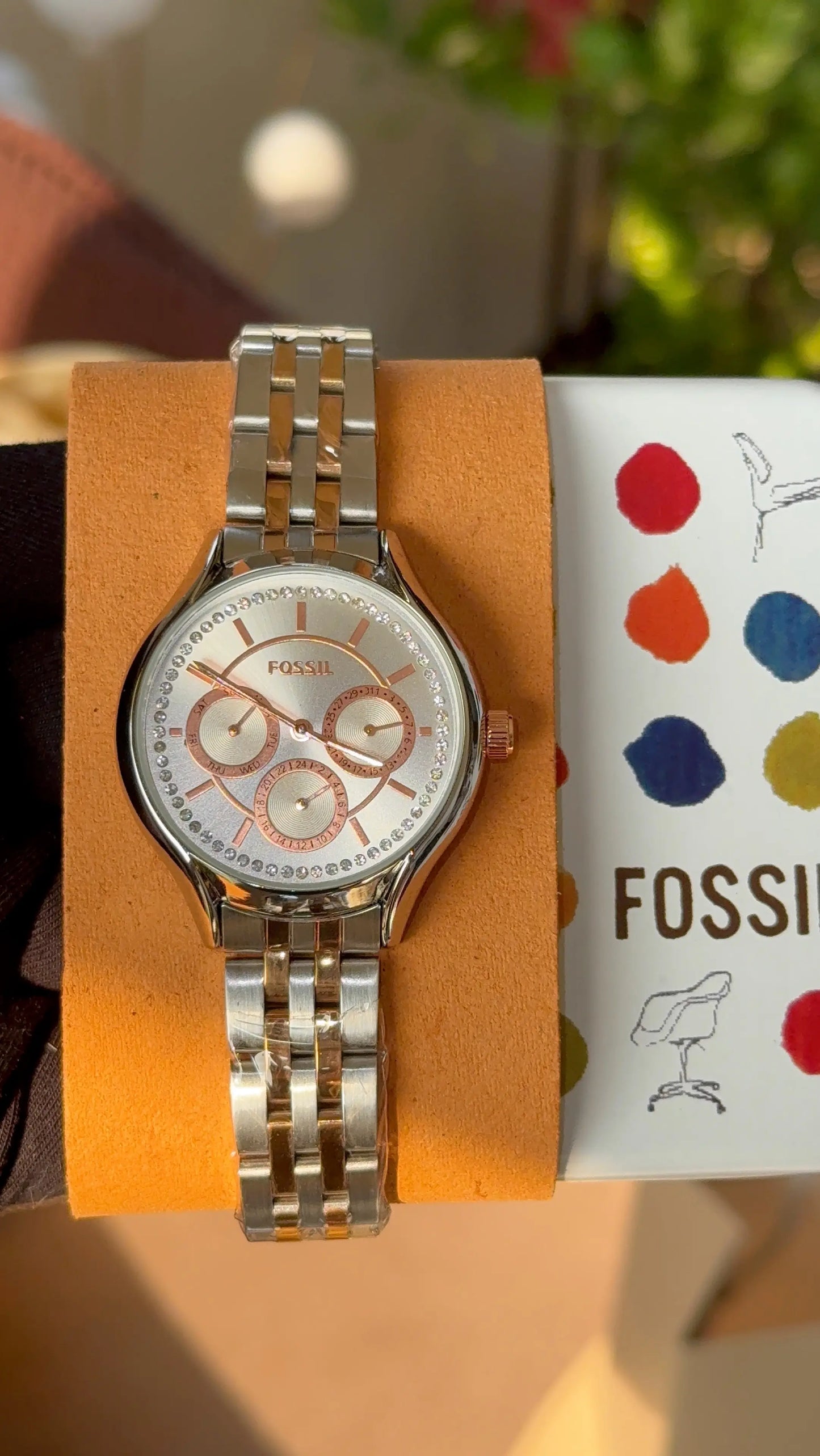Fossil Eevie analog for her
