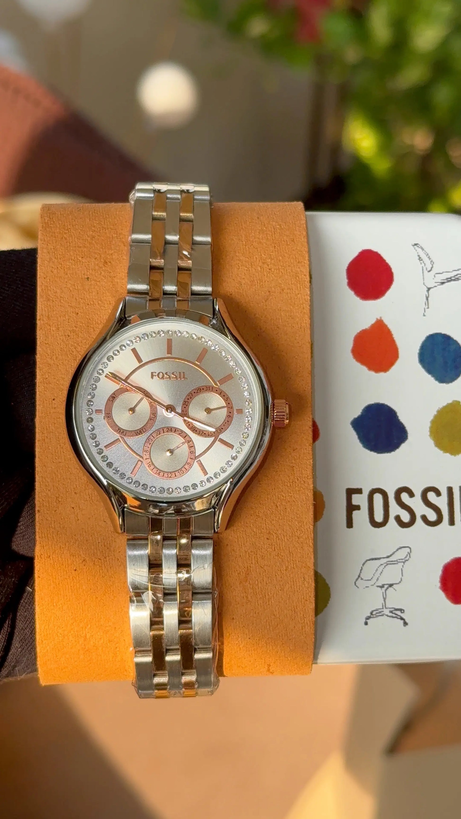 Fossil Eevie analog for her