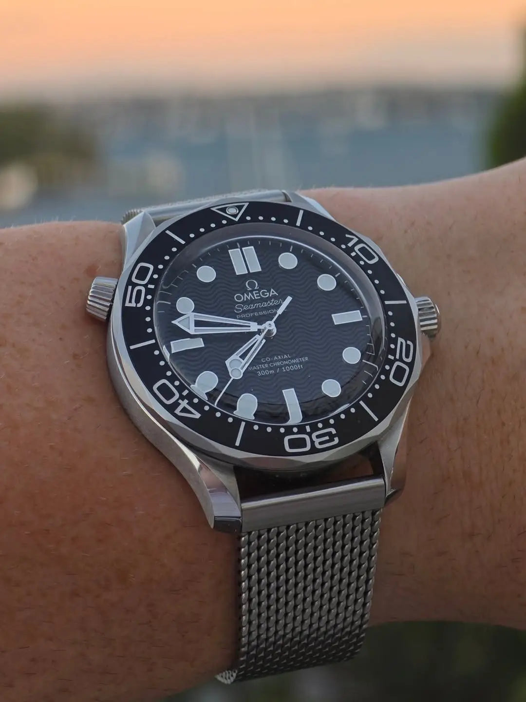 Omega Seamaster Diver