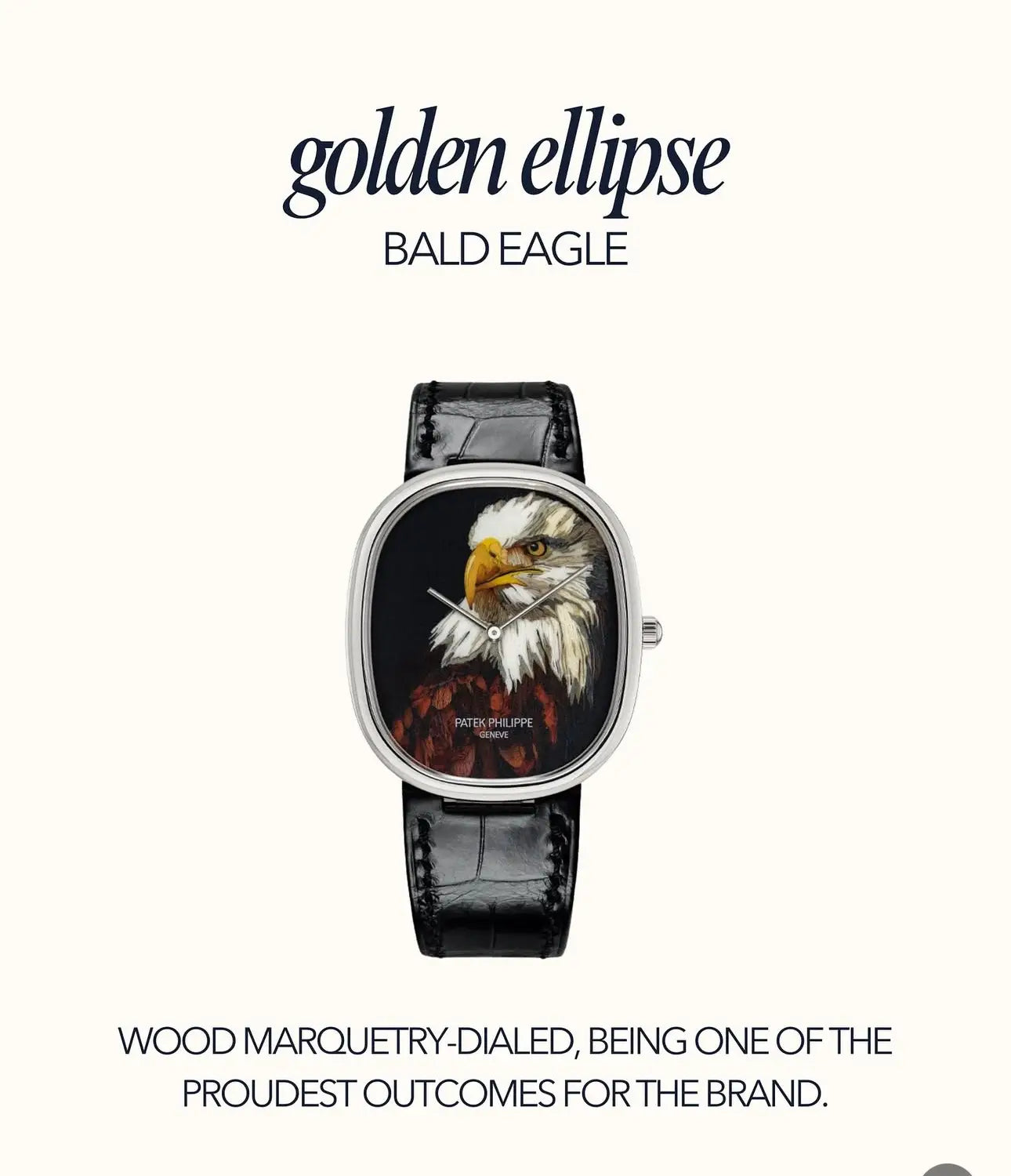 Patek Golden Ellipse Bald Eagle Premium Quartz Watch